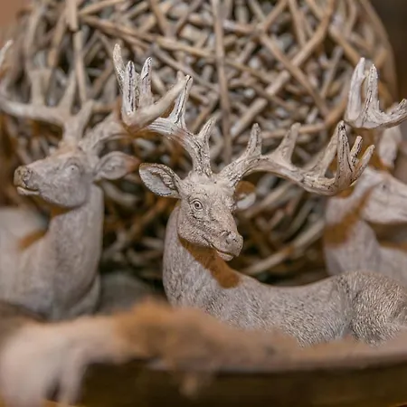 Seehotel Luitpold Hotel 4*